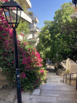 IMG_2389.jpeg IMG_2389.jpeg