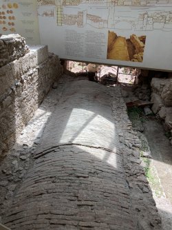 IMG_2449.jpeg IMG_2449.jpeg