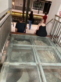 IMG_2454.jpeg IMG_2454.jpeg