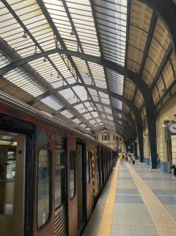 IMG_2486.jpeg IMG_2486.jpeg