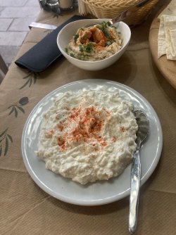 IMG_2517.jpeg IMG_2517.jpeg