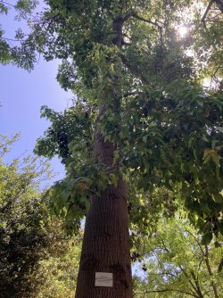 IMG_2557.jpeg IMG_2557.jpeg