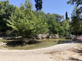 IMG_2560.jpeg IMG_2560.jpeg