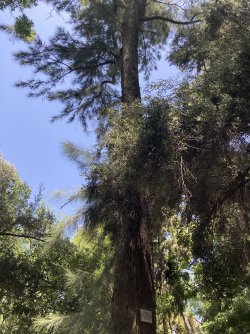 IMG_2565.jpeg IMG_2565.jpeg