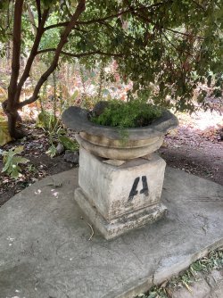 IMG_2568.jpeg IMG_2568.jpeg