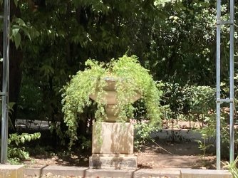 IMG_2569.jpeg IMG_2569.jpeg