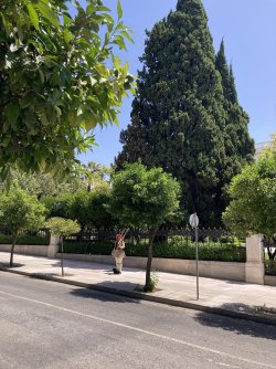 IMG_2573.jpeg IMG_2573.jpeg