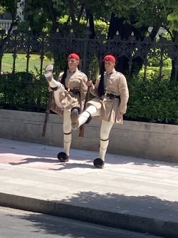 IMG_2579.jpeg IMG_2579.jpeg