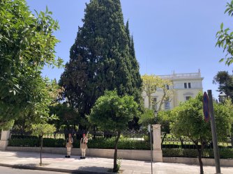 IMG_2580.jpeg IMG_2580.jpeg