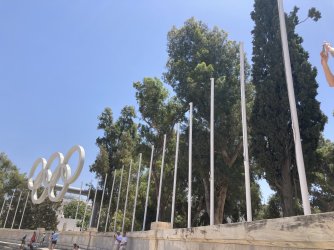 IMG_2600.jpeg IMG_2600.jpeg