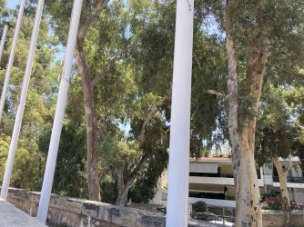 IMG_2601.jpeg IMG_2601.jpeg