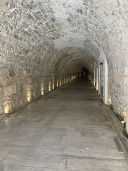 IMG_2639.jpeg IMG_2639.jpeg