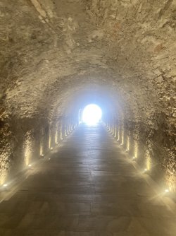 IMG_2690.jpeg IMG_2690.jpeg