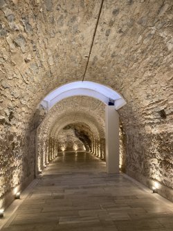 IMG_2686.jpeg IMG_2686.jpeg