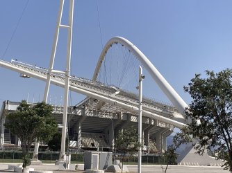 IMG_2498.jpeg IMG_2498.jpeg