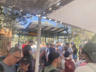 IMG_2720.jpeg IMG_2720.jpeg