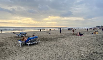 IMG_3700.jpeg IMG_3700.jpeg