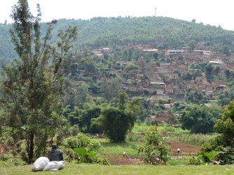 PANA1875.JPG PANA1875.JPG