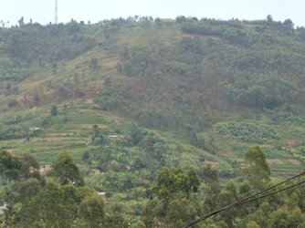 PANA2156.JPG PANA2156.JPG