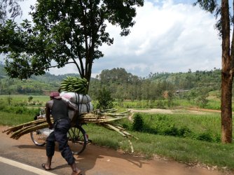 PANA1904.JPG PANA1904.JPG