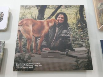 PANA1936.JPG PANA1936.JPG