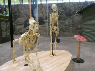 PANA1937.JPG PANA1937.JPG