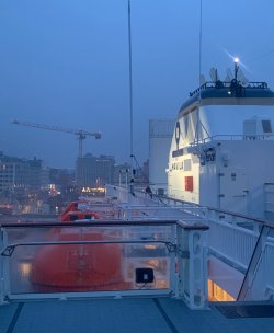IMG_1254.jpeg IMG_1254.jpeg