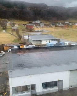 IMG_1255.jpeg IMG_1255.jpeg