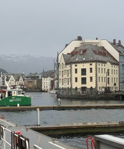 IMG_1259.jpeg IMG_1259.jpeg