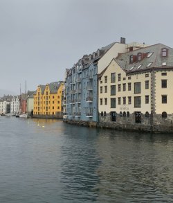 IMG_1260.jpeg IMG_1260.jpeg