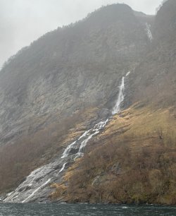 IMG_1275.jpeg IMG_1275.jpeg
