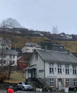 IMG_1285.jpeg IMG_1285.jpeg