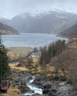 IMG_1292.jpeg IMG_1292.jpeg