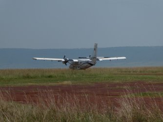 PANA2203 (Custom).JPG