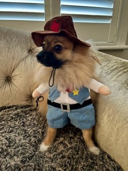 IMG_5630.jpeg IMG_5630.jpeg