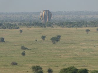 PANA2960 (Custom).JPG PANA2960 (Custom).JPG