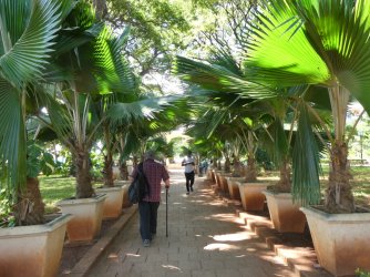 PANA3095 (Custom).JPG PANA3095 (Custom).JPG