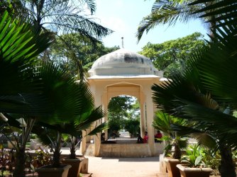 PANA3096 (Custom).JPG PANA3096 (Custom).JPG