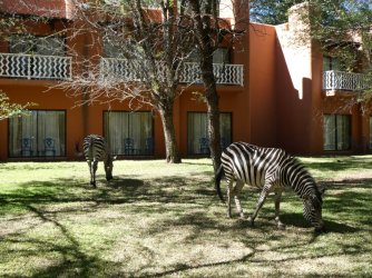 PANA3157 (Custom).JPG PANA3157 (Custom).JPG