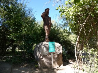 PANA3165 (Custom).JPG PANA3165 (Custom).JPG