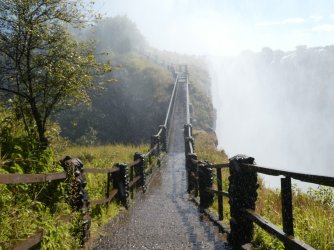 PANA3198 (Custom).JPG PANA3198 (Custom).JPG