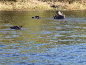 PANA3263 (Custom).JPG PANA3263 (Custom).JPG