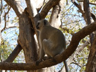 PANA3331 (Custom).JPG PANA3331 (Custom).JPG