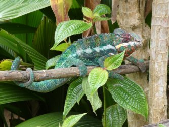 PANA3529 (Custom).JPG PANA3529 (Custom).JPG