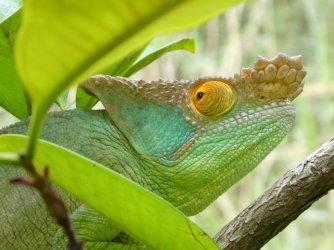 PANA3538 (Custom).JPG PANA3538 (Custom).JPG