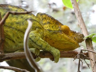 PANA3550 (Custom).JPG PANA3550 (Custom).JPG