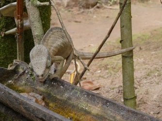 PANA3557 (Custom).JPG PANA3557 (Custom).JPG