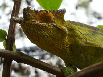 PANA3564 (Custom).JPG PANA3564 (Custom).JPG