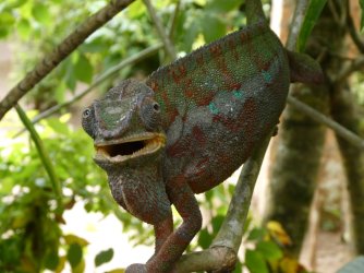 PANA3567 (Custom).JPG PANA3567 (Custom).JPG