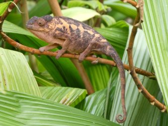 PANA3579 (Custom).JPG PANA3579 (Custom).JPG